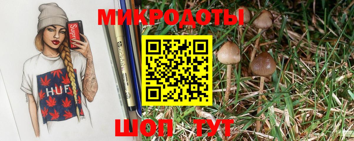Псилоцибиновые грибы Psilocybe  Вход с VPN  Елец 